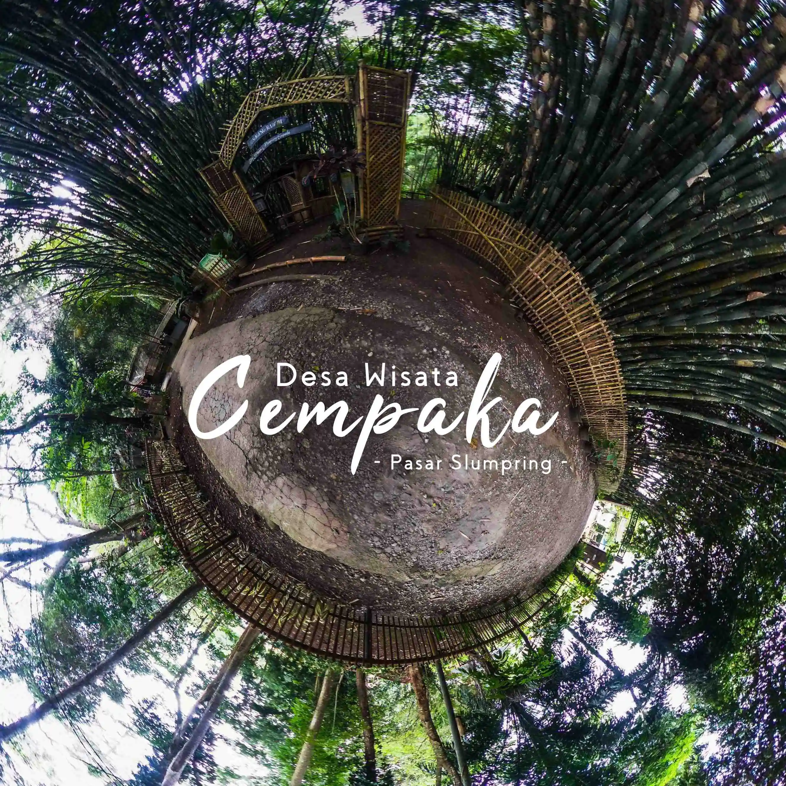 image of cempaka