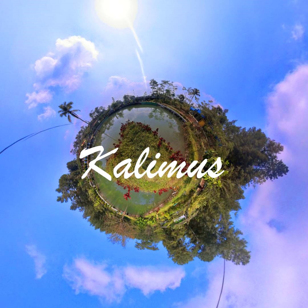 image of kalimus